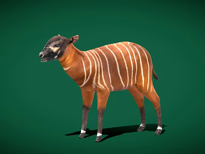 Realistic Full Body Brown And White Striped Tapir Standing On Green Background 3d model