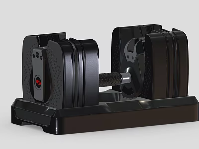 Adjustable Black Dumbbells Home Gym Fitness Sports Equipment With Stable Base 3d model