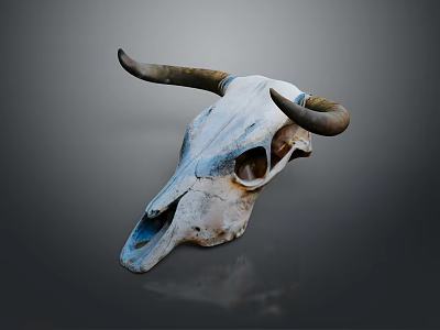 Cow Skull With Curved Horns Weathered White Surface On Gray Background 3d model