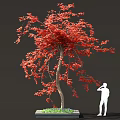 Vibrant Red Leaved Tree With Square Planter Base And Green Grass Near White Silhouette Figure