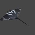 Black and White Manta Ray Featuring Unique Pattern and Long Tail in Blue Water