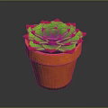 Vibrant Succulent Plant With Green Leaves Red Edges In Orange Terracotta Pot