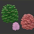 Brown Pine Cones Decorative Set For Home Decor With Reflection Background