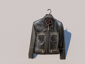 Clothes Leather 3d model