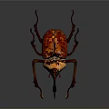 Vibrant Orange And Red Horned Beetle With Long Antennae And Detailed Legs