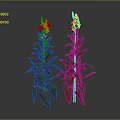 Vibrant Flowering Plants With Red Blooms And Variegated Leaves On Gray Background