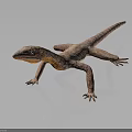 Brown and Orange Lizard With Detailed Skin Texture Standing On Dark Gray Background