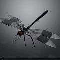 Dragonfly With Blue Black Body Orange Eyes And Black White Wings On Gray Background