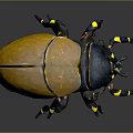 Vibrant Metallic Beetle With Iridescent Gold Blue Shell Yellow Blue Legs And Shiny Exoskeleton