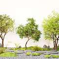 Shrub Fruit Tree Apple Tree Orange Tree Pomegranate Tree 3d model