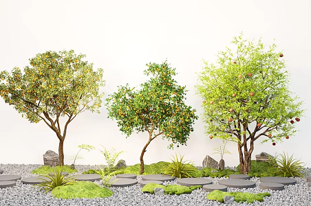 Shrub Fruit Tree Apple Tree Orange Tree Pomegranate Tree 3d model