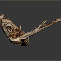 Moth Wings Featuring Intricate Patterns Eye Like Markings Tattered Edges And Brown Purple White Hues