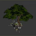 Floating Green Tree With Stones At Base And Gray Background
