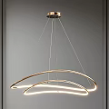 Modern Chandelier Lighting Designs With Circular Curved Metal Frames And Glass Elements 3d model