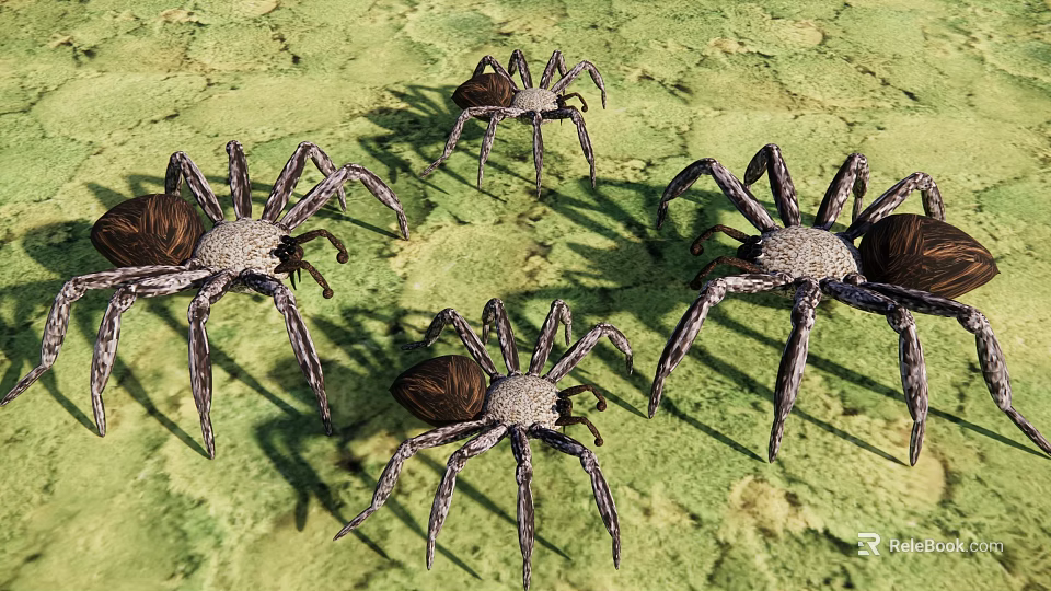 Four Large Spiders Crawling On Green Textured Ground Surface 3d model 