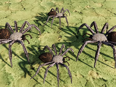 Four Large Spiders Crawling On Green Textured Ground Surface 3d model