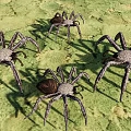 Four Large Spiders Crawling On Green Textured Ground Surface