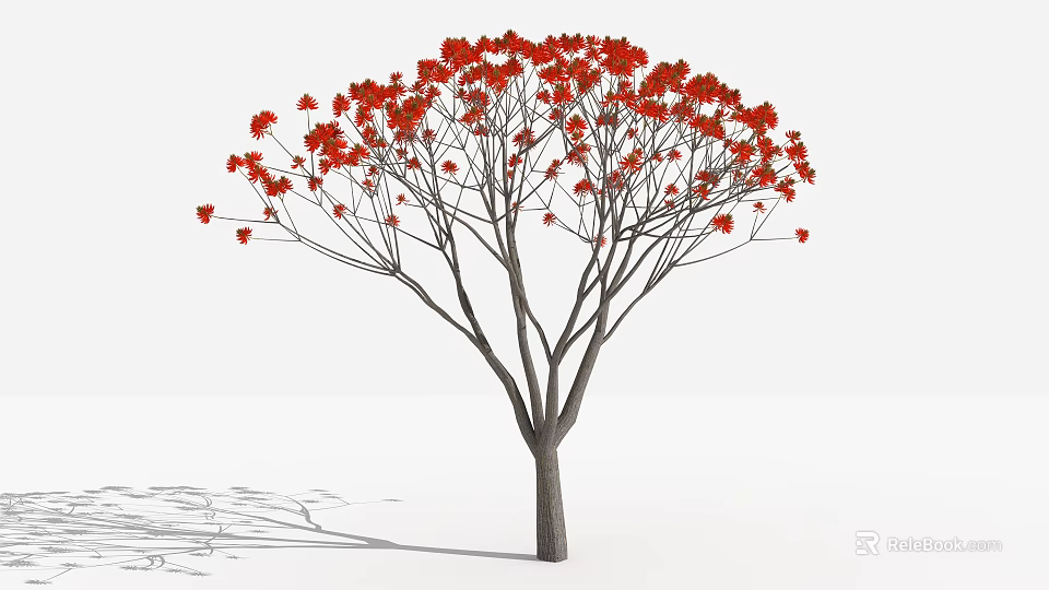 Tall Arbor With Red Blooms Slender Branches And Gray Trunk Casting Shadow On White Background 3d model