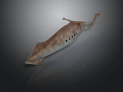 Brown Spotted Ray With Flat Body And Small Holes On Dorsal Surface 3d model