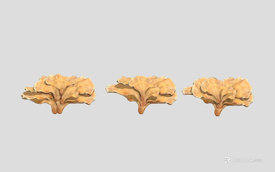 Three Yellow Leafy Decorative Plants Resembling Fresh Cabbage Leaves 3d model 