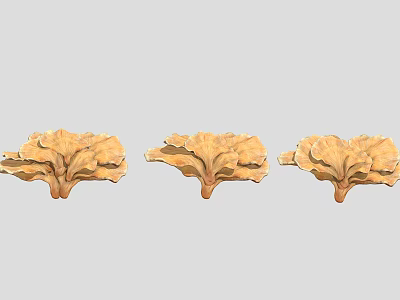 Three Yellow Leafy Decorative Plants Resembling Fresh Cabbage Leaves 3d model
