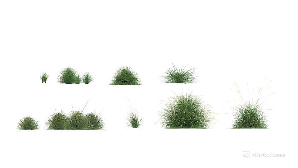 Diverse Green Grass Varieties For Garden Landscaping And Decorative Purposes 3d model 