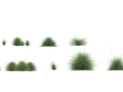 Diverse Green Grass Varieties For Garden Landscaping And Decorative Purposes 3d model
