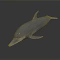 Spotting Dolphin Dolphin Cartoon Dolphin Animation Dolphin Animation Dolphin Animation Character Game Character 3d model