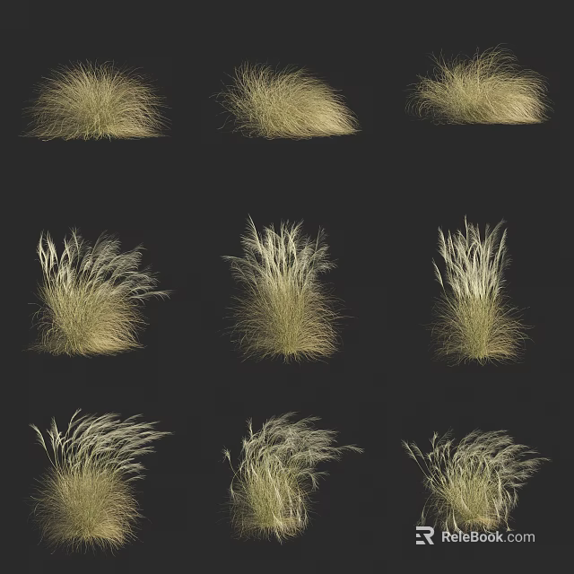 Various Forms Of Pale Golden Grass Displayed In Multiple Clumps On Black Background 3d model 