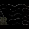 Various Straps Ropes And Small Bag On Black Background With Different Shapes