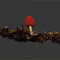 Vibrant Red Berry Standing Out In Autumn Leaf Pile On Natural Forest Floor