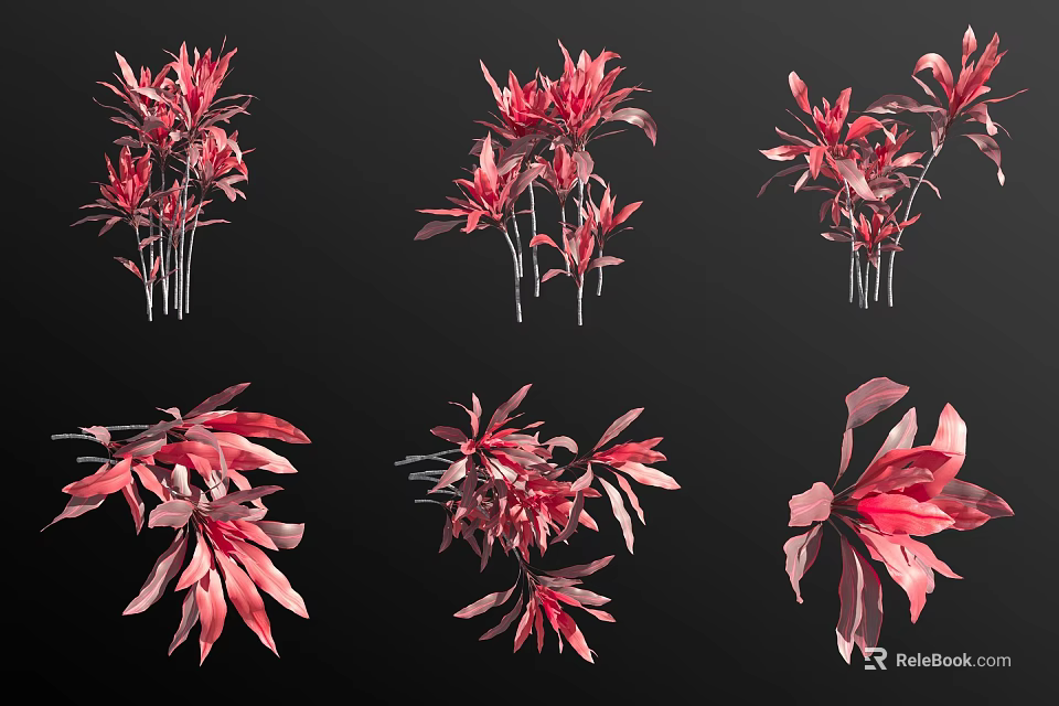 Vibrant Red Decorative Plants With Diverse Leaf Shapes And Flower Forms 3d model 