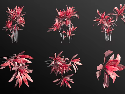 Vibrant Red Decorative Plants With Diverse Leaf Shapes And Flower Forms 3d model