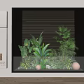 Modern Indoor Greenery Arrangement Featuring Lush Plants Black Frame And Round Lights