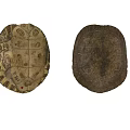Reptile Turtle Shell Carapace And Plastron Featuring Intricate Patterns And Texture