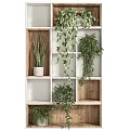 Indoor Living Plant Wall With Grid Shelves And Green Plants