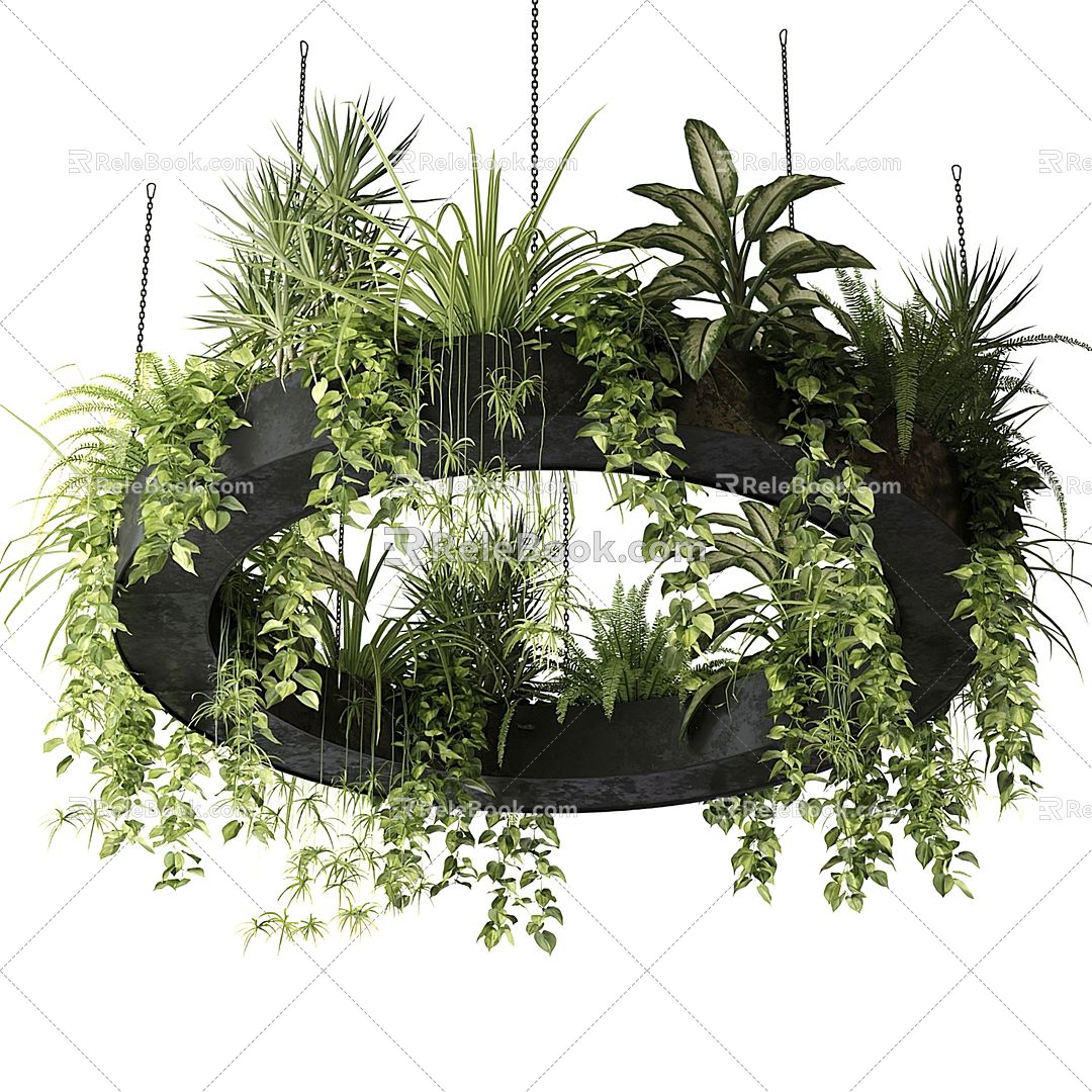 Modern hanging basket hanging orchid hanging green plants 3d model