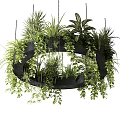 Circular Black Hanging Planter with Lush Trailing Greenery for Indoor Decoration