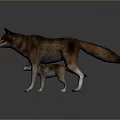 Wild Brown Mother Wolf and Her Small Cub Standing on Shiny Gray Floor