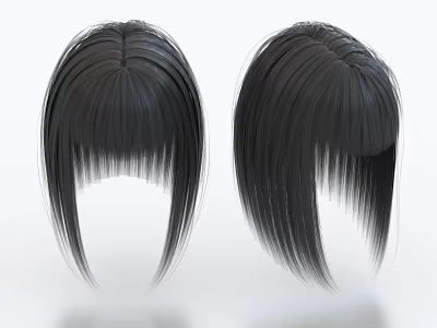 Fashion Black Fringe Wig Ornament Decor Set With Hairstyle Design Models 3d model