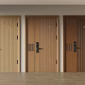 Modern Security Doors With Wooden Panel Patterns And Secure Lock Systems For Home Protection 3d model