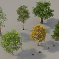 Various Types of Arbor Trees with Green and Yellow Foliage in Natural Scene