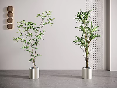 Bonsai Potted Plants with Slender Leaves and Bamboo Foliage in White Cylindrical Pots 3d model