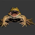 Green Frog With Open Mouth Detailed Skin Texture Standing On Dark Surface