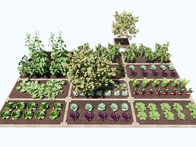 Modern Rural Vegetable Landscape model