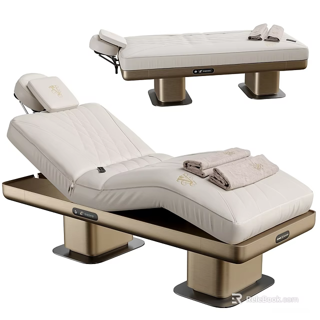 Luxury Electric Adjustable Massage Bed With Soft Padded Cushion For Professional Spa Beauty Treatments 3d model 