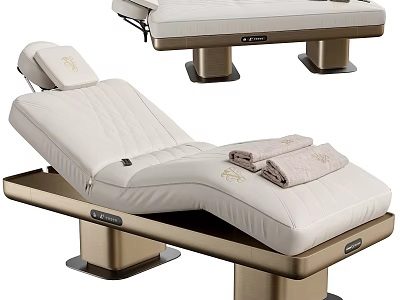 Luxury Electric Adjustable Massage Bed With Soft Padded Cushion For Professional Spa Beauty Treatments 3d model