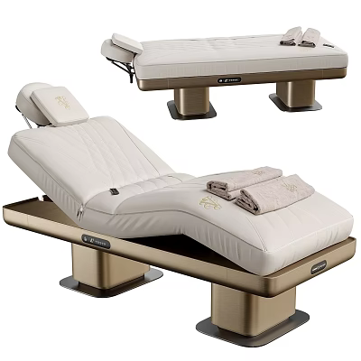 Luxury Electric Adjustable Massage Bed With Soft Padded Cushion For Professional Spa Beauty Treatments 3d model