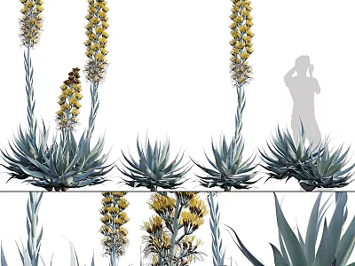 Natural Style Agave Plants With Yellow Flower Stems As Decorative Ornament Set For Home Decor 3d model