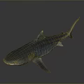Detailed 3D Shark Model With Metallic Texture on Dark Reflective Background
